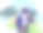 音乐家，弹奏五弦琴的男人图片下载