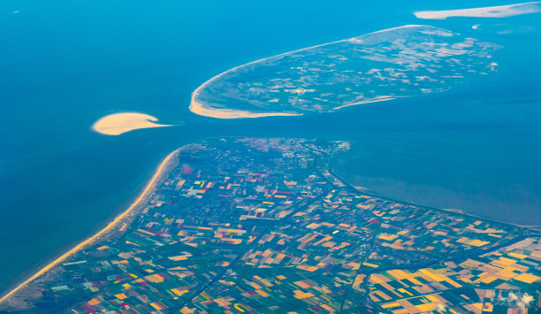 荷兰的郁金香季节图片下载