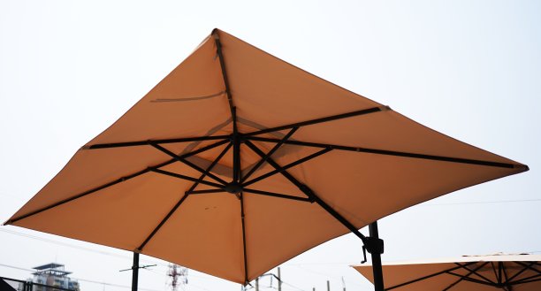 广场的伞图片下载