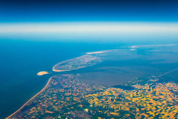 荷兰的郁金香季节图片下载