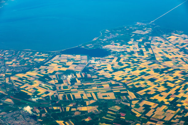 荷兰的郁金香季节图片下载