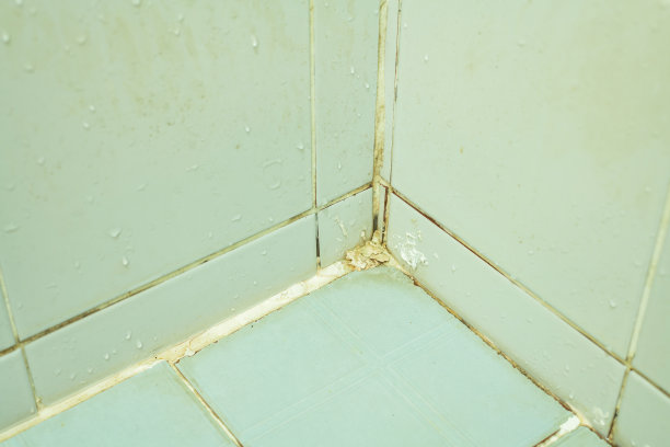 纹理发霉墙壁的特写图片下载