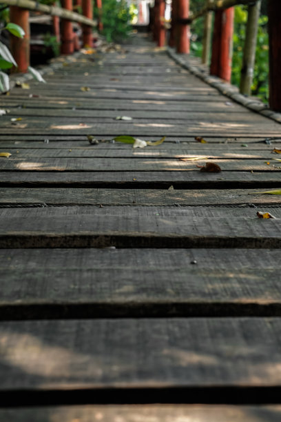 红树林之间的桥梁图片下载