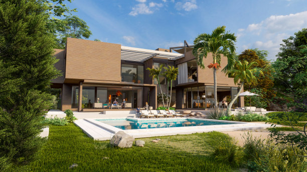 豪华的木材和混凝土别墅，游泳池和花园图片下载