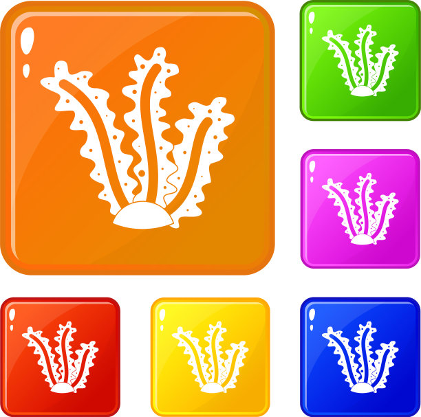 海藻图标设置颜色图片下载