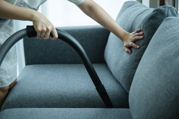 家庭主妇用吸尘器清洗沙发。图片下载