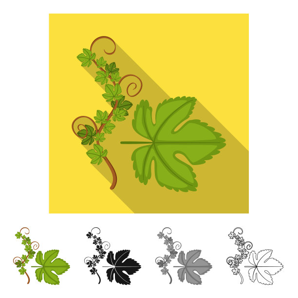 设计葡萄和叶标志集葡萄图片下载