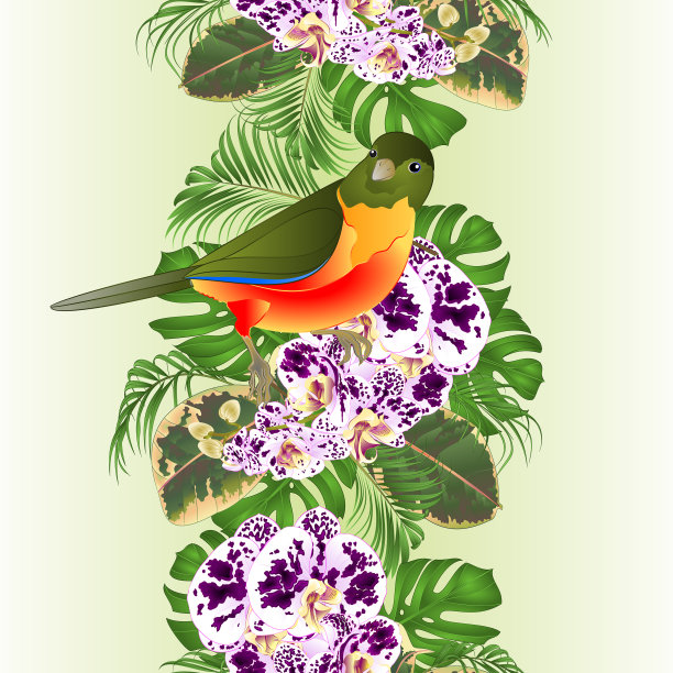 垂直边界无缝背景热带图片下载