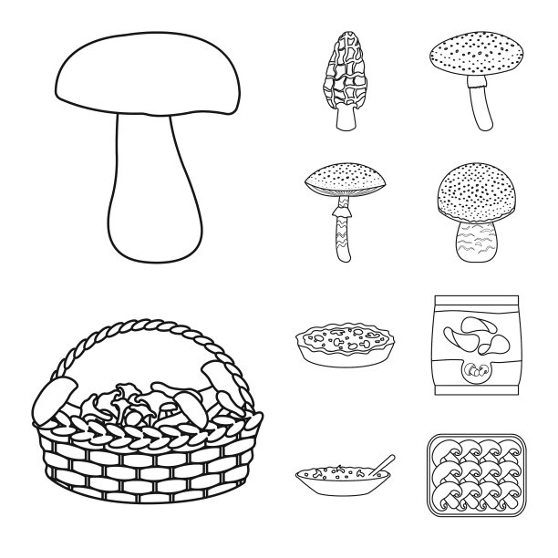 设计森林和新鲜的标志集图片下载