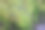 青苔质地图片下载