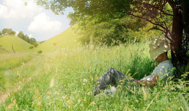 一个人在树荫下睡觉图片下载