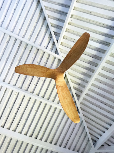 天花板风扇对着白色的木制屋顶，哥斯达黎加图片下载