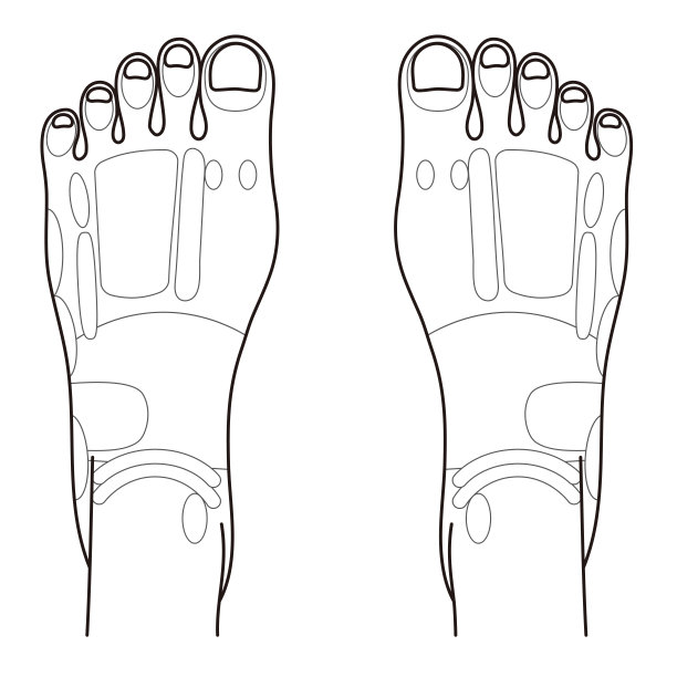 足侧反射区及足穴说明图片下载