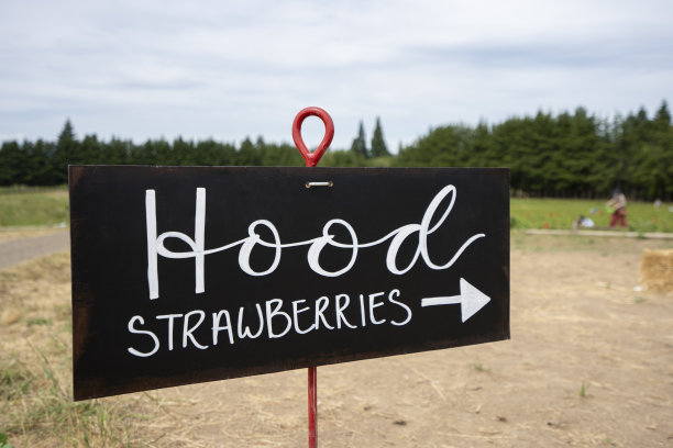 罩草莓图片下载