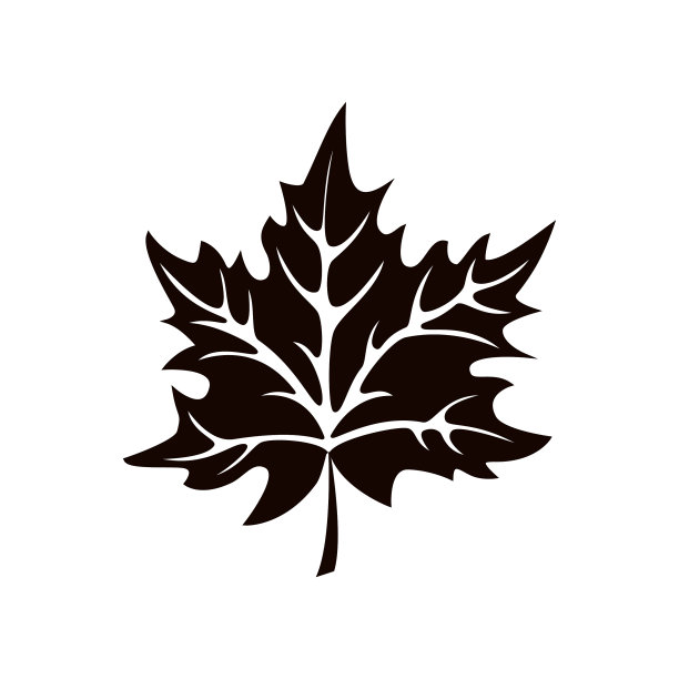 秋叶在白色背景上的剪影图片下载