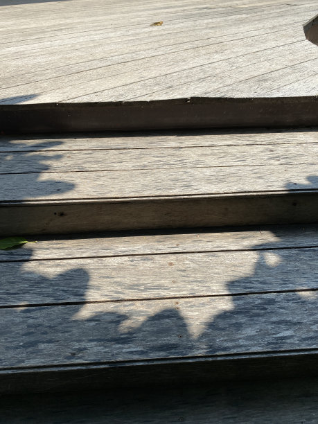 旧木楼梯上的树影图片下载