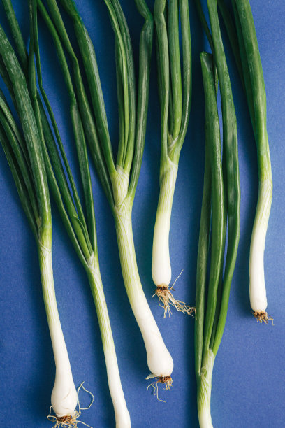 蓝色背景上有叶子的小洋葱。图片下载