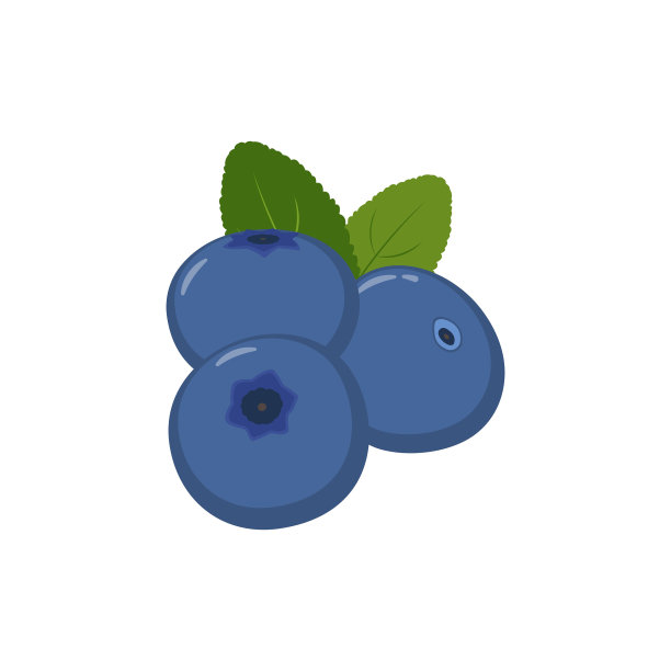 蓝莓图标矢量设计。图片下载