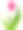 草、郁金香和雏菊。绿色开花的草地。春天和夏天图片下载
