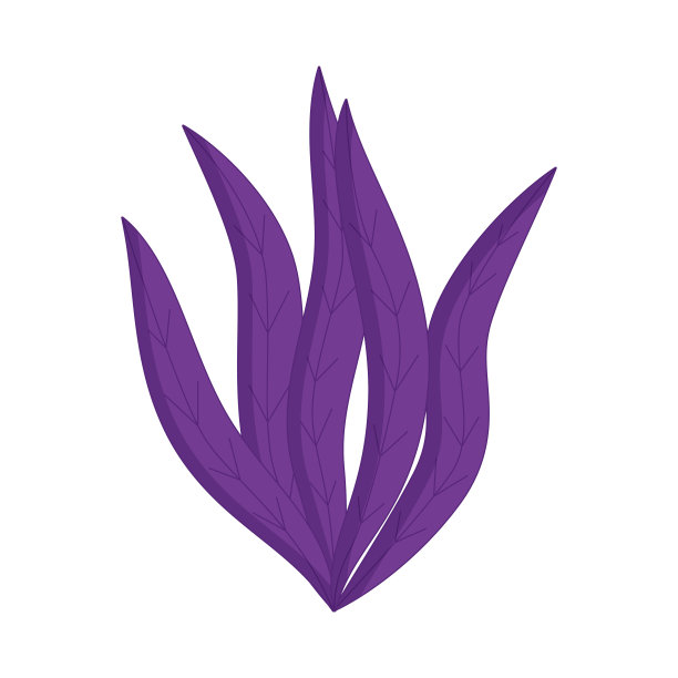 水族海藻孤立在白色背景。海洋植物，海洋藻类图片下载