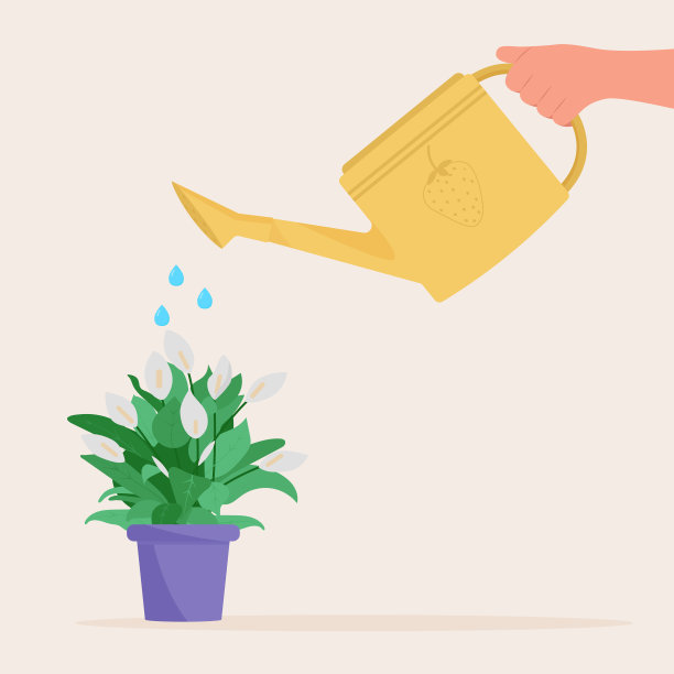 手持喷壶。给盆栽植物浇水图片下载