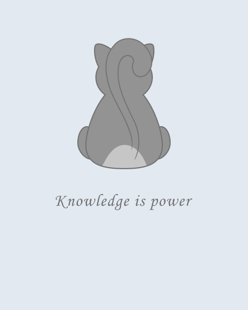 有猫的明信片图片下载