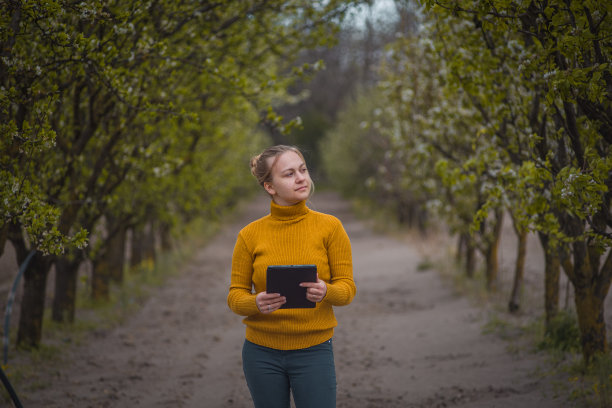 农民或农学家在开花的梅园图片下载