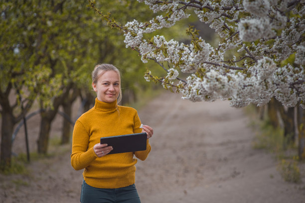 农民或农学家在开花的梅园图片下载