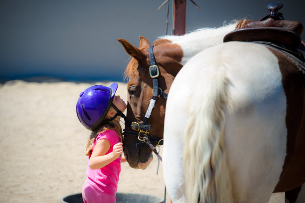 和她的马意见一致图片下载