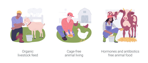 有机牲畜养殖孤立卡通矢量插图集。图片下载