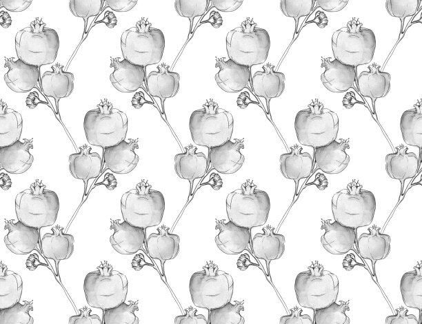 手绘水彩无缝图案的石榴树果实在树枝上图片下载