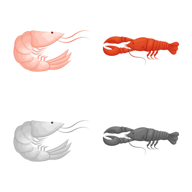 孤立的对象开胃菜和海洋标志集图片下载