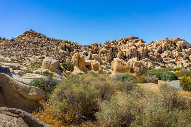 莫哈韦沙漠中带有干燥灌木的岩层图片下载