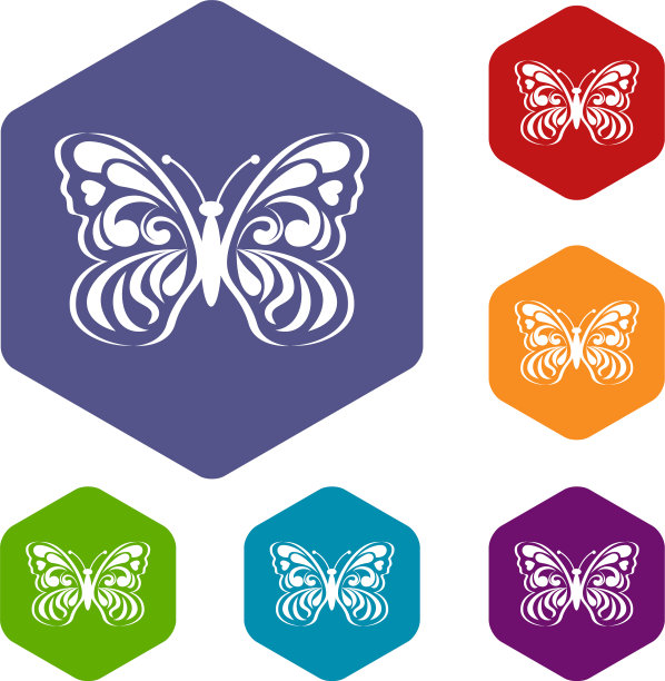 蝴蝶与抽象图案的翅膀图标图片下载