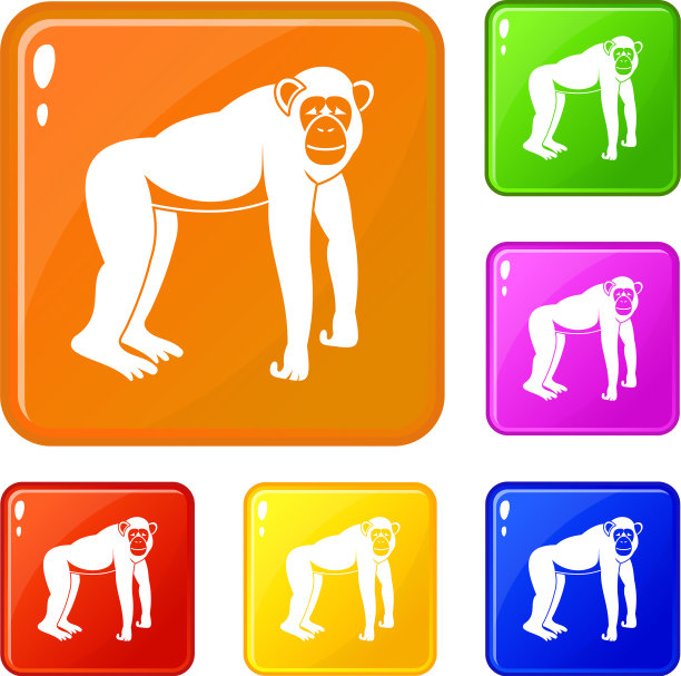 黑猩猩图标设置颜色图片下载