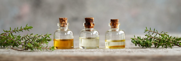 全景标题与精油瓶和百里香植物图片下载