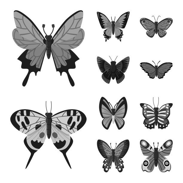 孤立物体苍蝇和昆虫符号集图片下载