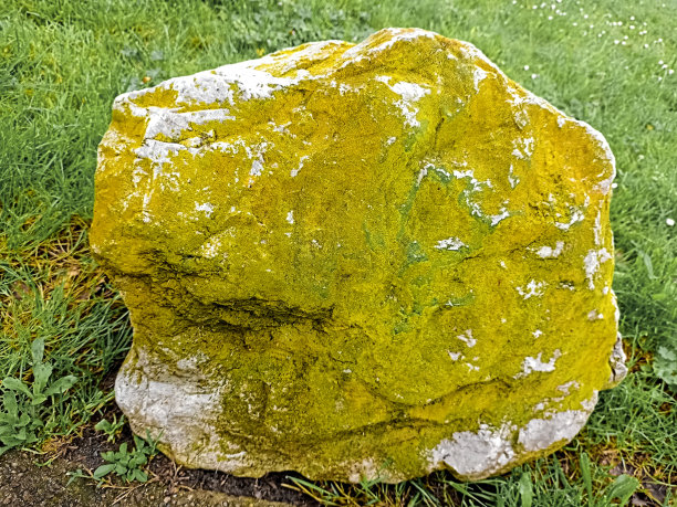 长满青苔的岩石照片图片下载