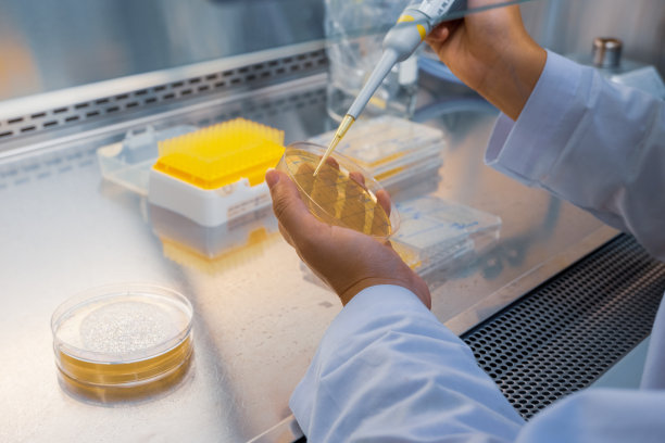 科学家们正在培养皿上画线，用于检测物质。图片下载