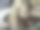 蹒跚学步的女孩与母亲的笔记本图片下载