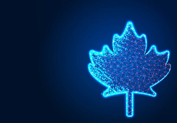 加拿大枫叶，抽象低多边形设计，从线和点线框，矢量插图图片下载