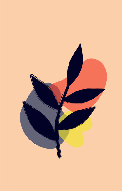 波西米亚风格的矢量插图。抽象水彩平衡几何形状、植物。设计封面，壁纸，明信片，社交网络，装饰。图片下载