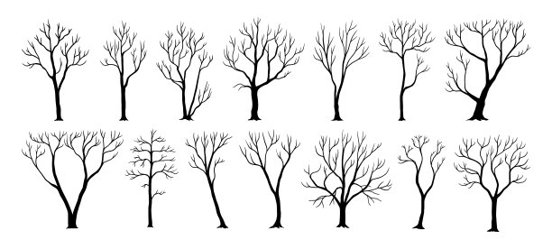 裸树。带有树干和光秃秃的树枝的植物的黑色轮廓。木的影子。寒冷的季节。冬季和秋季环境。死树枝。向量干林地元素集图片下载