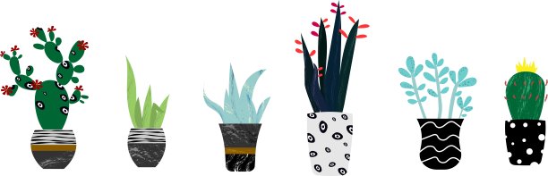 外来及热带植物图片下载