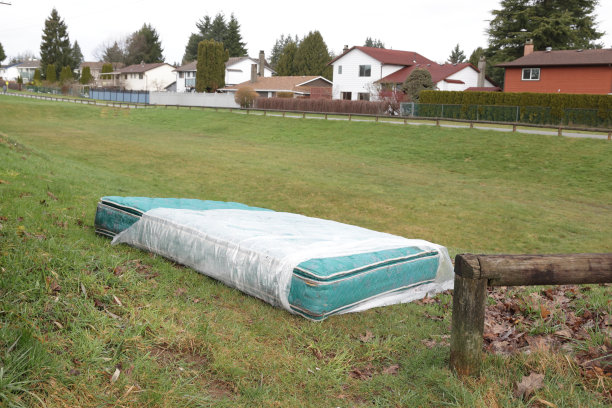 绿化带上被遗弃的床垫图片下载