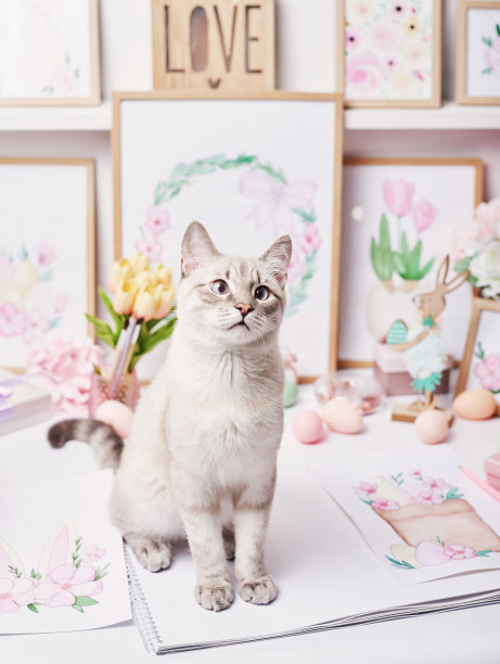 复活节猫带着蛋和花。灰色的小猫坐在桌子上。春节贺卡复活节快乐。复活节装饰。水彩春天画。设计师和艺术家的工作场所。创意空间。图片下载