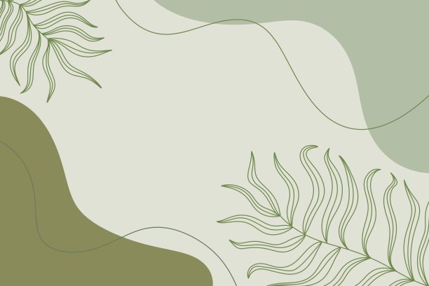 抽象植物墙艺术叶波西米亚背景图片下载