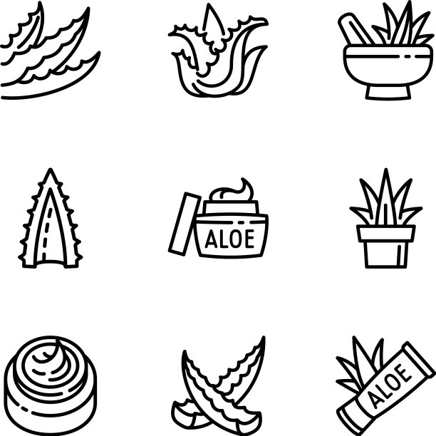 芦荟植物图标集轮廓风格图片下载