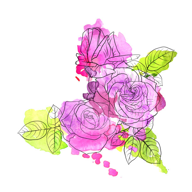 画花玫瑰图片下载