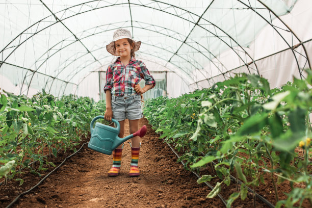 小女孩，年轻的农民穿着彩色的靴子在温室里触摸番茄植株的叶子图片下载